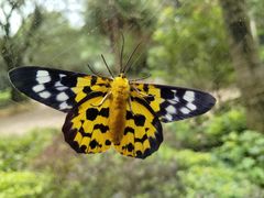 -四海轩(珠海海泉湾店)