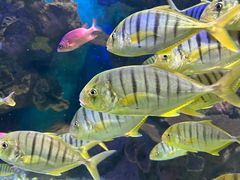 -多彩贵州城极地海洋世界