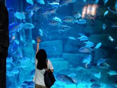 -成都浩海立方海洋公园