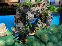 -东椰·海南椰子鸡火锅(朝阳门店)