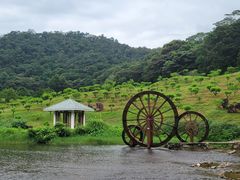 -广州市石门国家森林公园