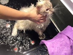 -MOLLY'S萌宠生活馆