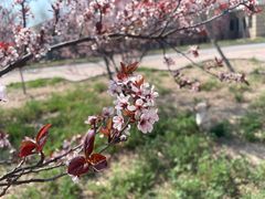 -小菜园新徽菜(扬州华润万象汇店)