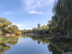 -北京大学