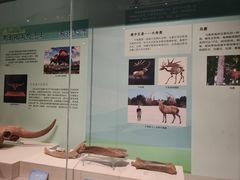 -珠海市博物馆