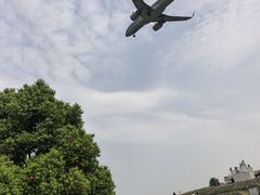 -空港花田景区