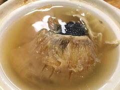 鱼翅-澳门西南饭店·粤菜·茶市·手工点心(华海路店)