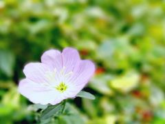 -城北食府(枫林店)