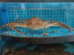 -正德楼果木烤鸭·渔家菜(东港店)