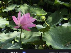 -莲池书院博物馆