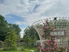-太阳宫公园