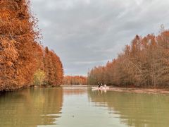 -上海海湾国家森林公园