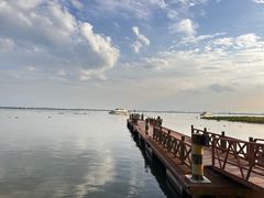 -莲花岛景区