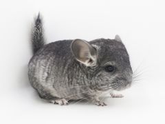 -龙猫仔乐园(惠福东路店)