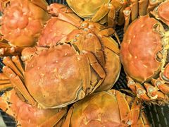 -王宝和酒家(黄浦店)