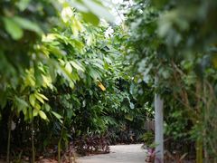 -歌斐颂巧克力小镇