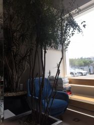 -Hair  Gallery