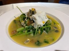 -圆苑(金茂店)