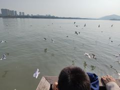 -蠡湖大桥公园