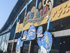-泉城欧乐堡海洋极地世界
