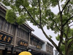 -枣子树·素食餐厅(普陀山店)