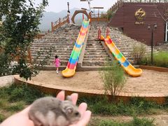 -潭柘厚院(桑峪村店)