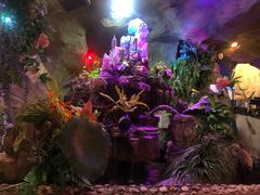 -醉小酒馆·川菜·江湖菜·重庆菜(观音桥旗舰店)