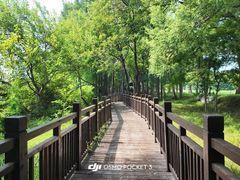 -东湖落雁景区