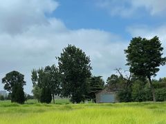 -汉长安城未央宫国家考古遗址公园