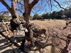 -奈良公园