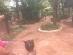 -亚马逊丛林水乐园