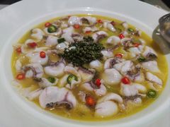 -青花椒花椒鱼(合生汇店)