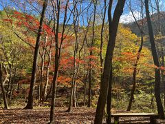 -关门山森林公园