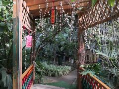 -呀路古热带植物园