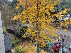 -四川大学(望江校区)