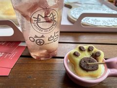 -喵屿·大理花园猫咖