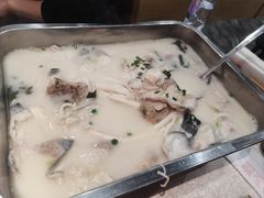 -洞庭家宴·头牌甲鱼(广渠门店)
