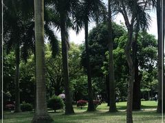 -南宁南湖公园