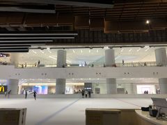 -TheRink大零溜冰场(IFS国金中心店)