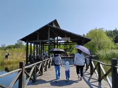 -溱湖国家湿地公园
