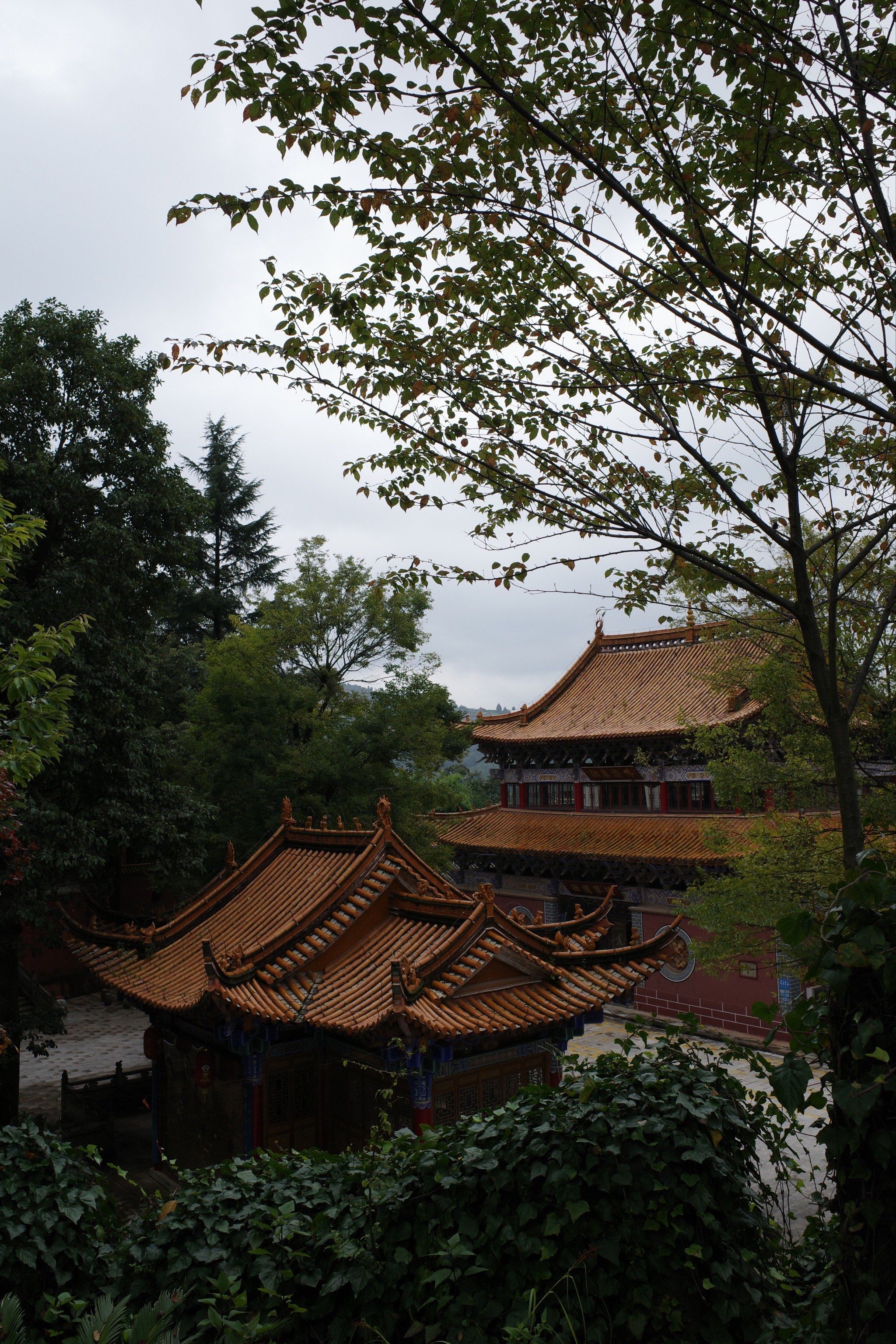 昆明有一条路,叫王筇路,筇就取自筇竹寺的筇