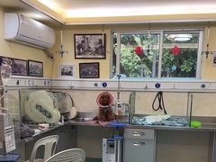 -动物缘宠物医院·骨科·猫科(西二环店)