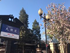 -天津五大道文化旅游区