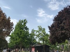 -大雁塔北广场音乐喷泉