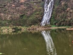 -水濂山森林公园