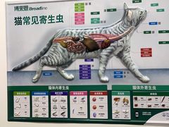 -爱诺动物医院(崂山店)