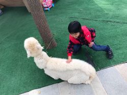 -萌宠亲子动物乐园(槐房万达店)