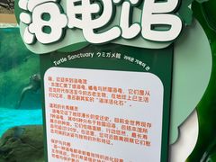 -海合安成都极地海洋公园