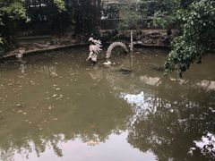 -秋霞圃