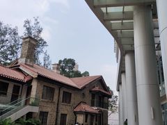 -香港大学